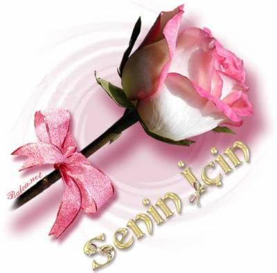 for every body knows siabdellah eloufir all over the world